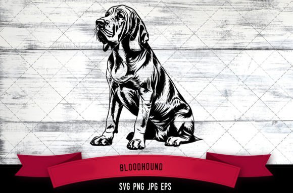 Bloodhound SVG, Dog SVG, Logo: A Designer's Review