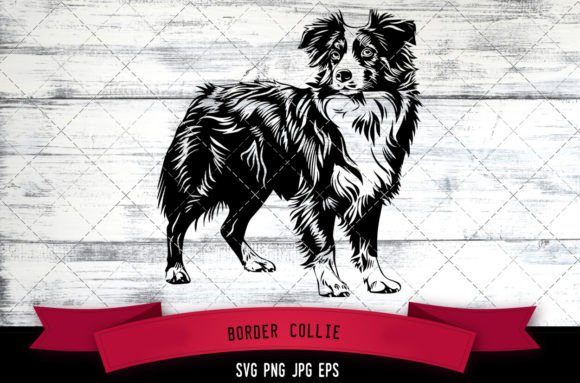 Border Collie SVG Review: Real Talk for Embroidery Designers