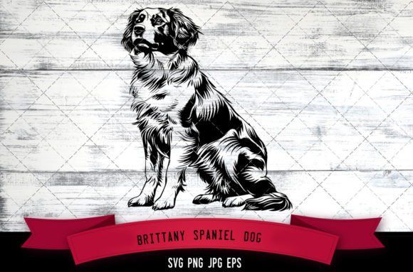 Brittany Spaniel Dog SVG: A Designer’s Embroidery Review