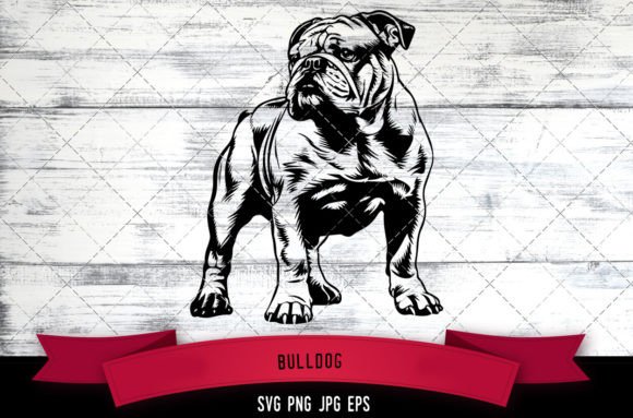Bulldog SVG, Dog SVG, Logo: A Designer’s Hands-On Review