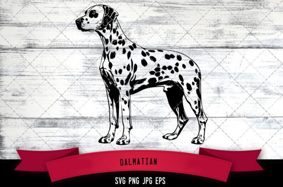 Dalmatian SVG, Dog SVG, Logo: An Embroidery Designer's Honest Take