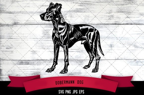 Dobermann Dog SVG: A Designer’s Honest Embroidery Review