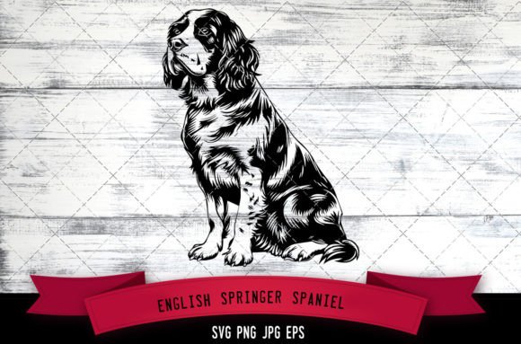 English Springer Spaniel SVG, Dog SVG: A Design Review
