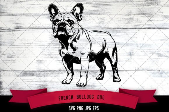 French Bulldog SVG: An Embroidery Designer’s Verdict