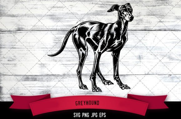 Greyhound SVG for Embroidery: A Designer Review