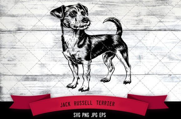 Jack Russell Terrier SVG for Embroidery – Practical Review