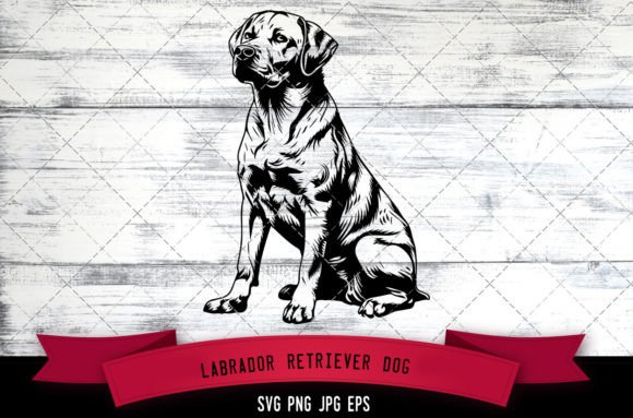 Labrador Retriever Dog SVG: A Hands-On Design Review