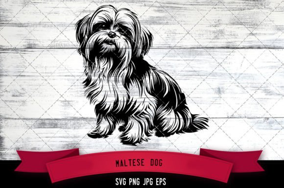 Maltese Dog SVG: A Practical Review for Embroidery Designers