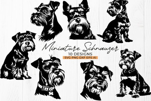 Miniature Schnauzer Dog Bundle: Real Project Review